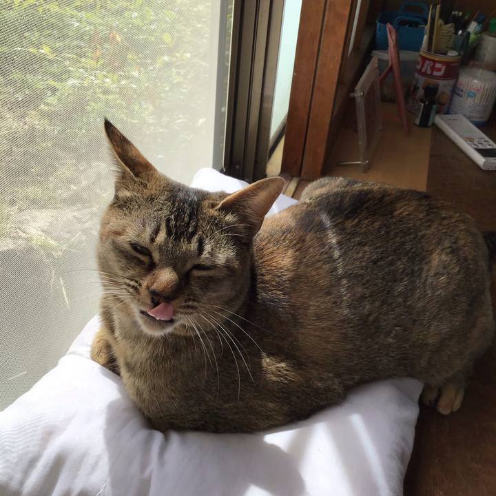 395efd44 8d20 4ad6 b05f 01937ad0f545 1584755397464