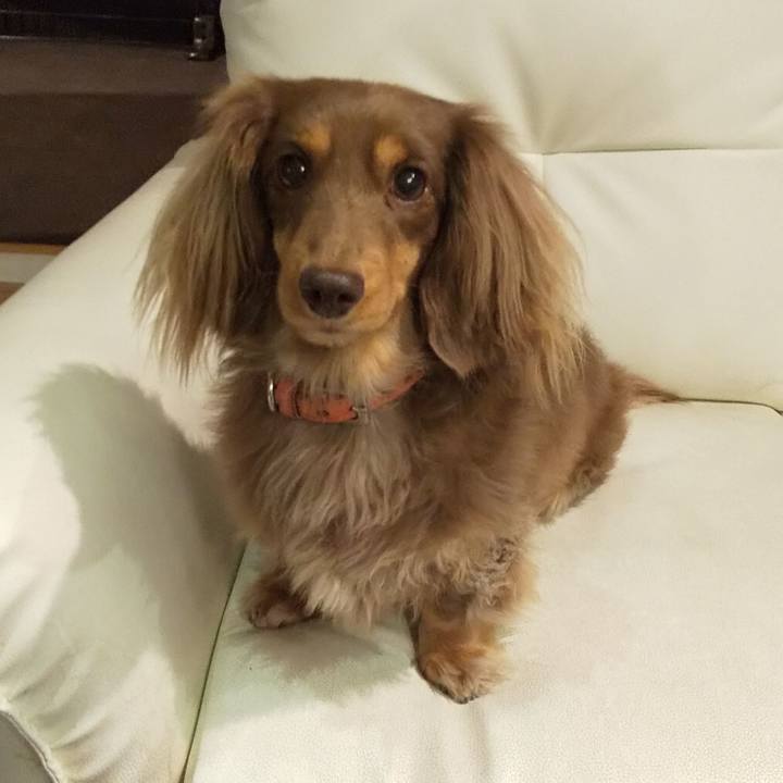 395eff2f 9b12 46f1 ae93 a8359ba189ea 1577531804586