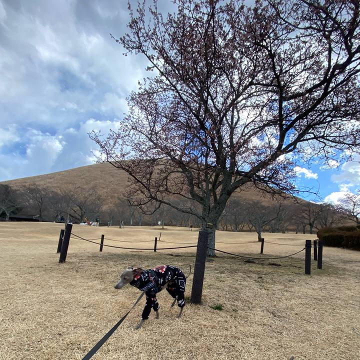 395f06c5 1c7e 43b5 a62e e39c61277abe 1769324587590