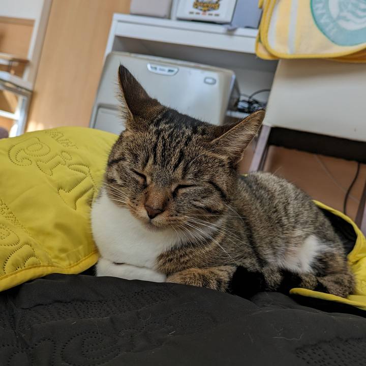 395f2a33 fbbf 4f6b 84a6 2729ab28b624 1700957910704