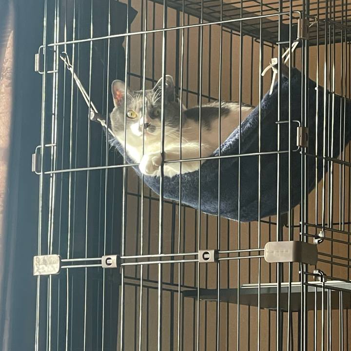 395f5a09 e56d 4706 84da ee0a3d10a74e 1672182295963