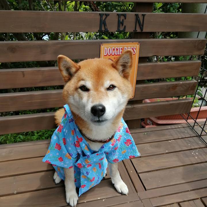 395f959c ff6c 4349 a095 5f4d35996efd 1652239833089