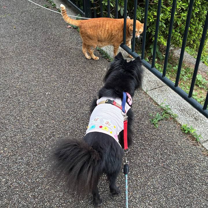 395fceb5 4776 49d4 aa6a 922dedc1b77e 1759188901745