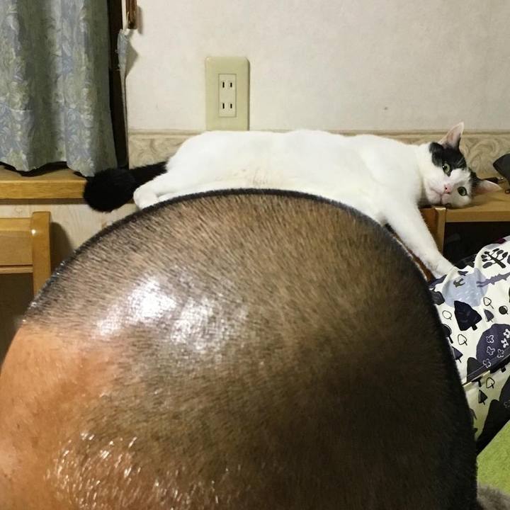 395fdbec f589 4d35 92b3 83cd0b756c33 1565910028495