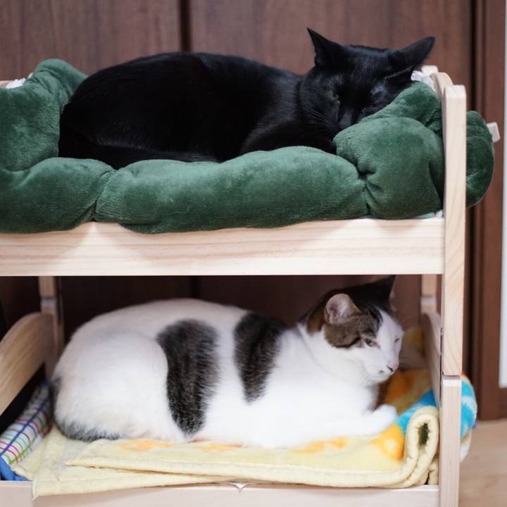 395ff358 e6c4 4196 97a2 fc43f5cd6d07 1518477828167