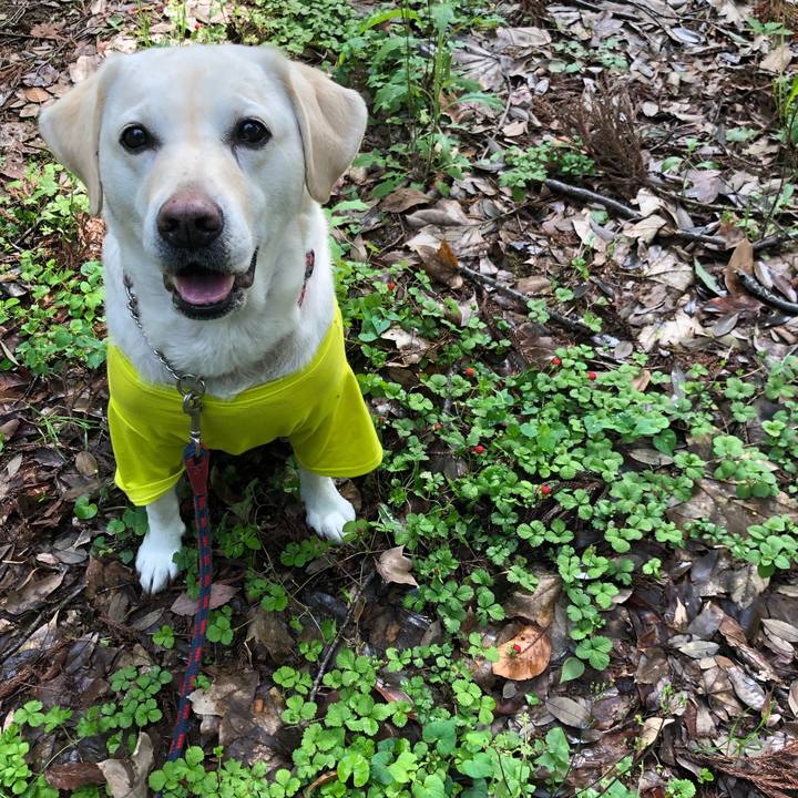 39602977 cee2 4a35 8862 50eda526c9c9 1652831710445