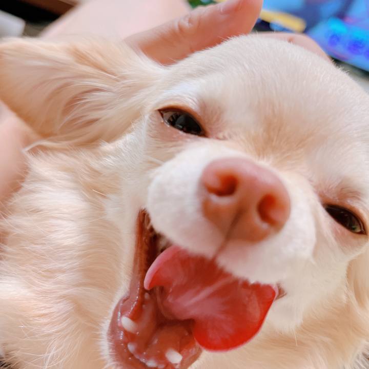 396030d2 b2fb 4ed5 8cd6 82d3bc11f329 1657889476912