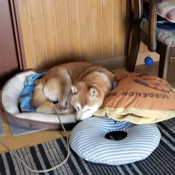 396042b6 21ec 4890 8a3c b9fa176f1ed4 1618443072018