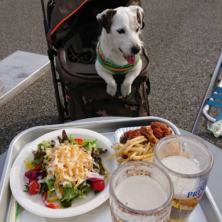 39604fcc 9f0a 4f86 a516 0332fe37cc76 1520072501037