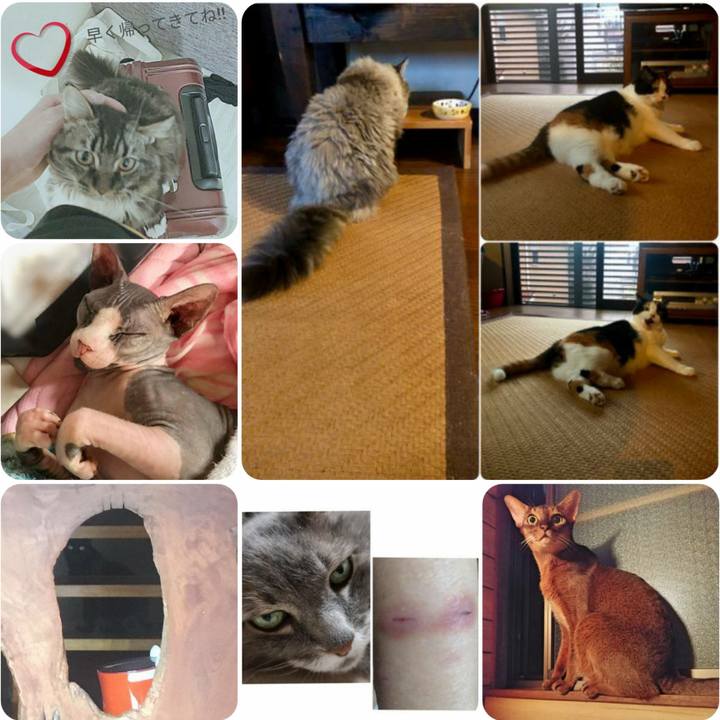 39608dc4 cd64 4742 a9df df6ddaefba3c 1567569013722