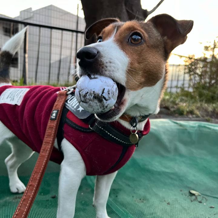 39609580 e3af 4b08 a750 a3a1507a7a8e 1711267147464