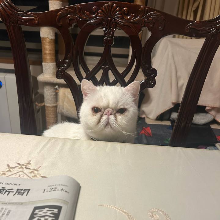 39609681 4cc8 4007 be02 396a153a6e62 1769246808014