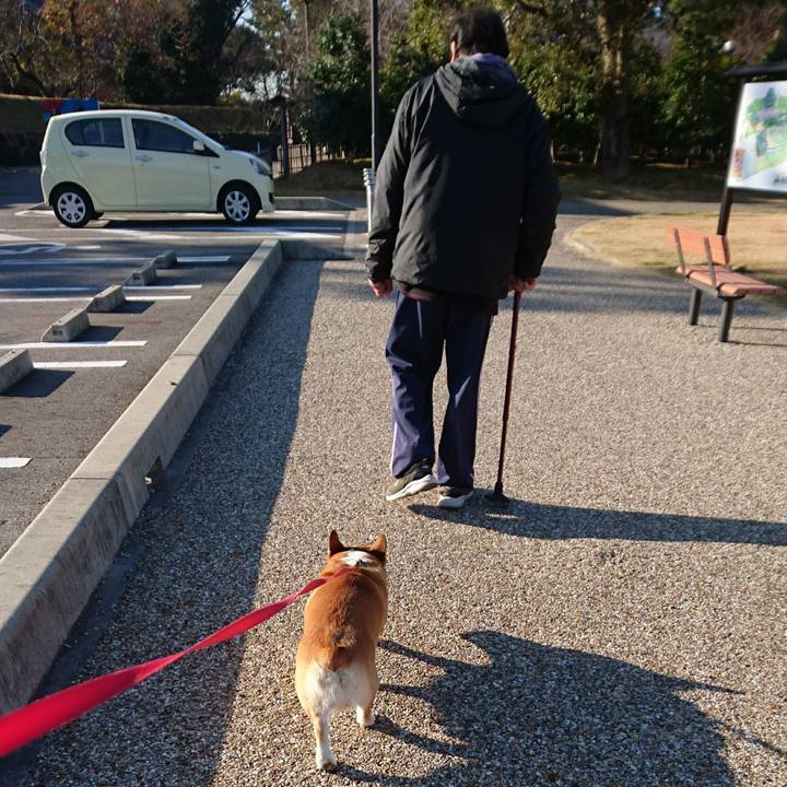 3960b526 1505 4d84 8610 927c0ba33097 1608595868402