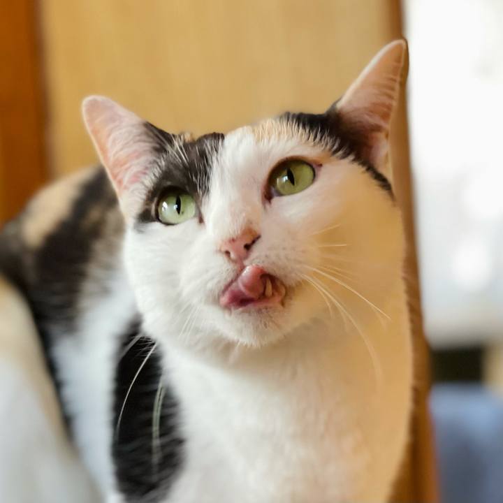 3960c01c 0eb0 474e 8318 e260d7fedb9f 1625796686073