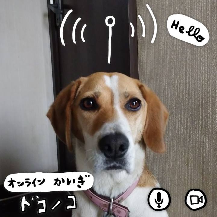 396138f1 ca8b 488d b359 134524593b47 1593493216420