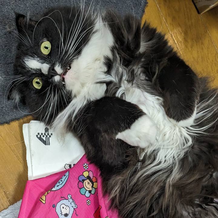 396144db 13df 4591 a6ba 98ac4d33fb25 1712485245693