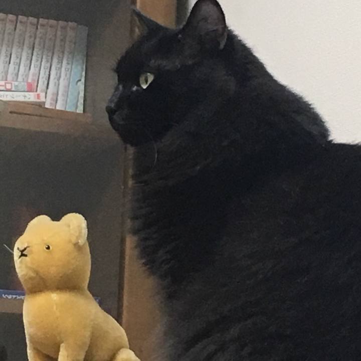 396179c5 cc32 452e 9fe6 3ab25e6f95f5 1572564565243