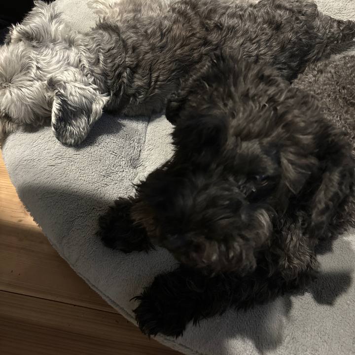 39618ea7 ddc6 49c1 94b2 2839da39d5e6 1697184607225