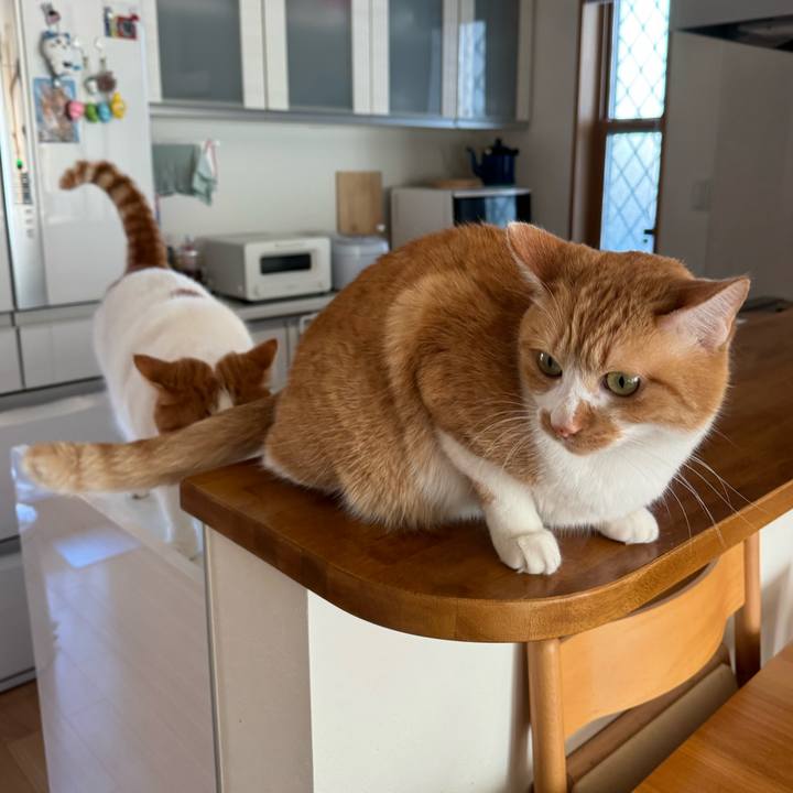 3961b31c 82c5 4d2d 86b9 8e82b6b128d9 1765938508590