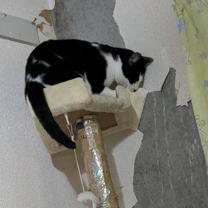 3961bf7a 35dc 4434 88d0 127867f1ee3f 1761398062538