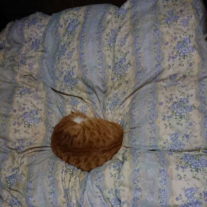 3961c439 c8b5 4121 b3dd a21c4e15771b 1576065351211