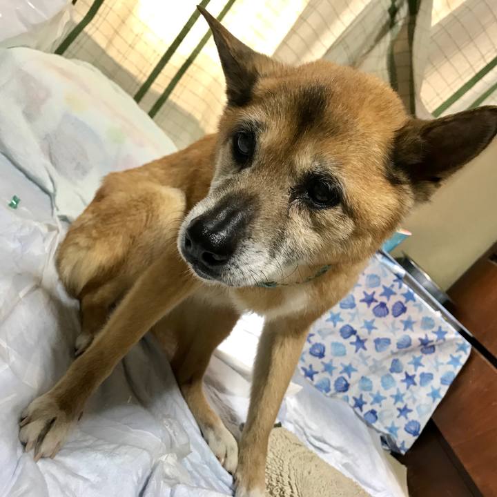 3961f128 76fc 41c7 937f a9a7331dca3c 1558156173628