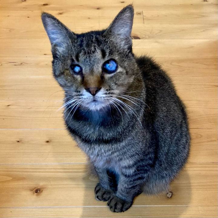 39623205 de3f 47a5 9d6e 79f5aa8d62b9 1667990166215