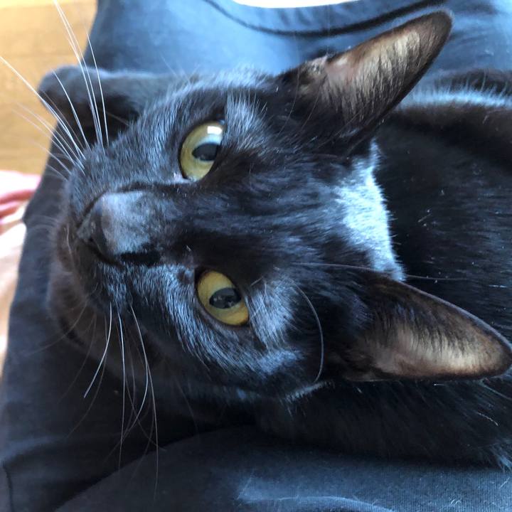 39623ddb e2e8 4ed5 8d36 3185c476af47 1668898390193