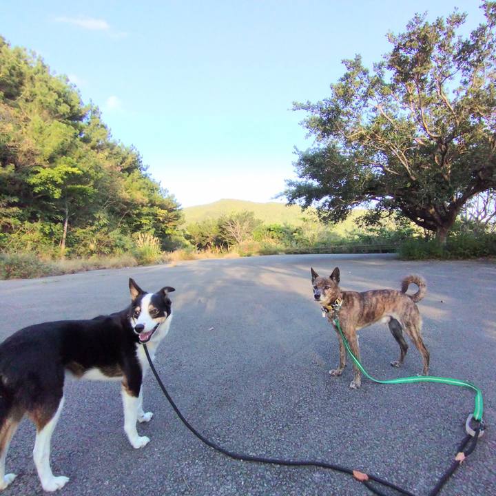 39624963 2ea1 41cf 9f67 25e53e19a81f 1706663316377