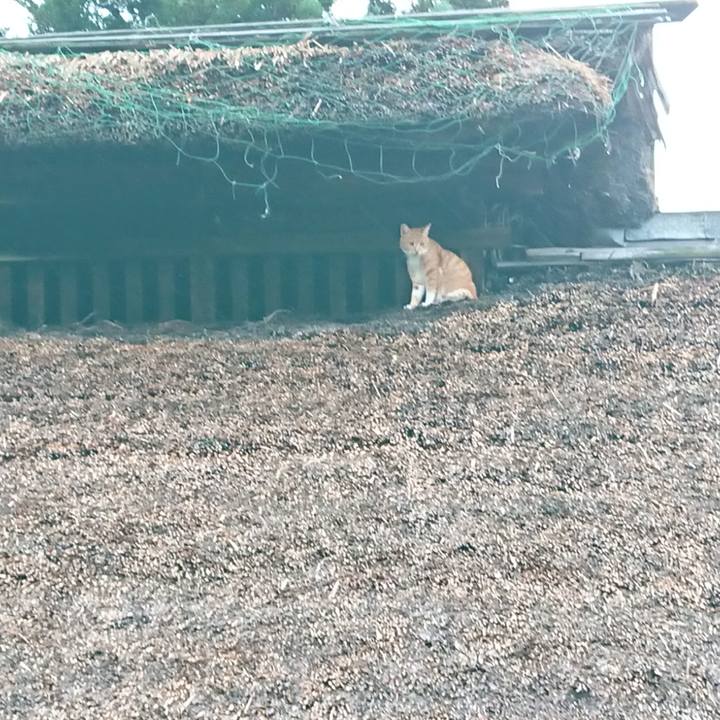 39624bce d6e0 45e5 a3ac 0fcdd419ecea 1594449822206