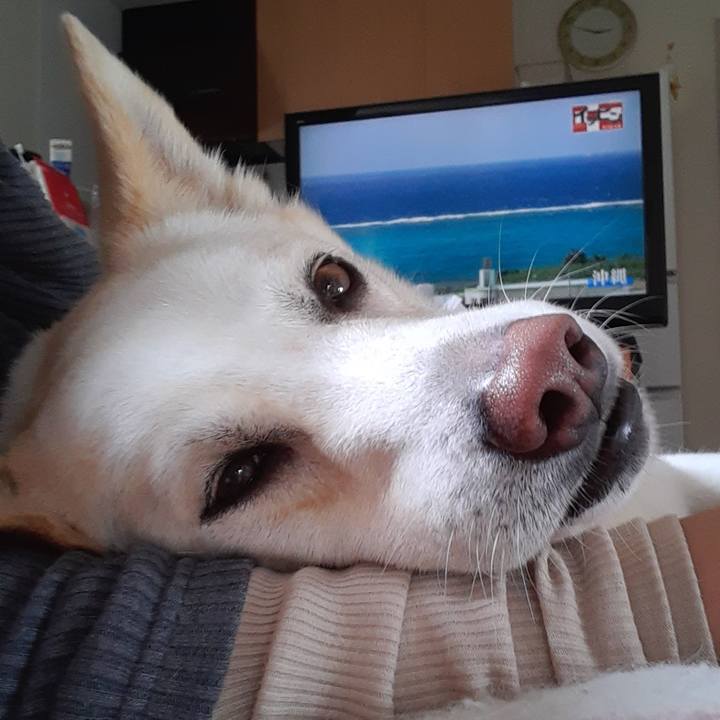 39624fc4 1ffd 4444 9f6e 1e51c09ea0e3 1652507809330