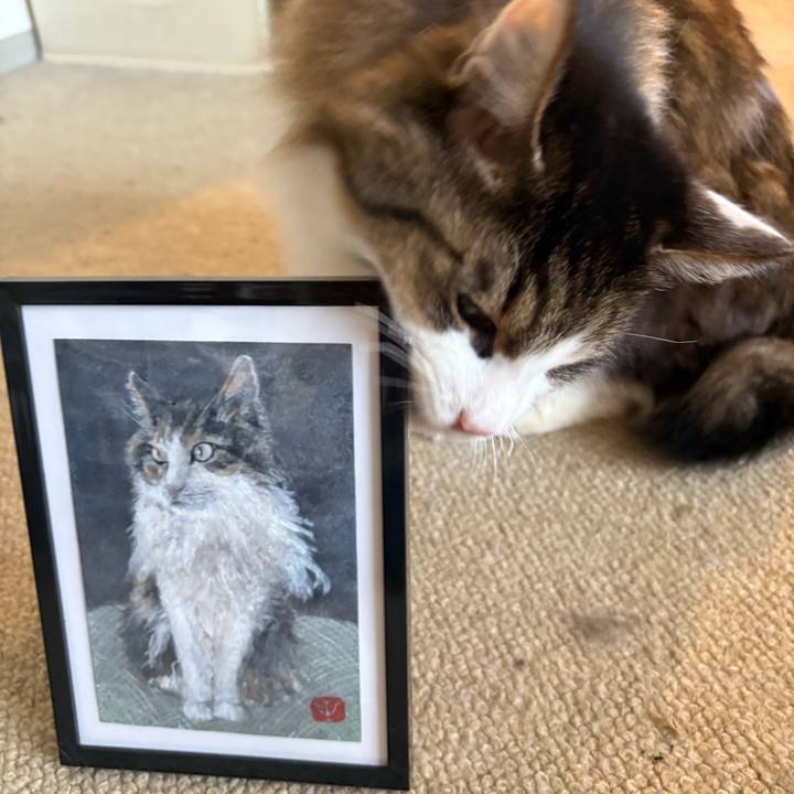 39625a6a 6cf0 4fb3 84b9 e47f132c8593 1739516762043