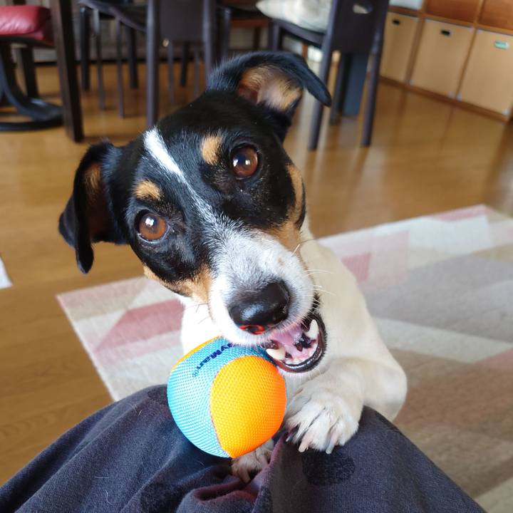 396294cb 763d 4eb5 97d7 c02c90d69b30 1692083102563