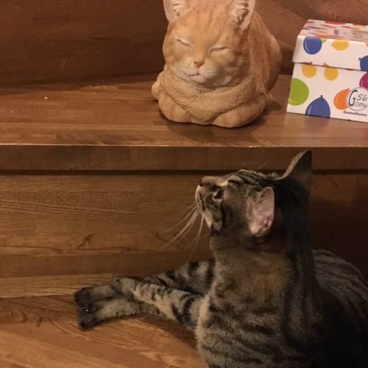 3962ac6a e144 48bf b1db abe2c94c0e87 1567334556896