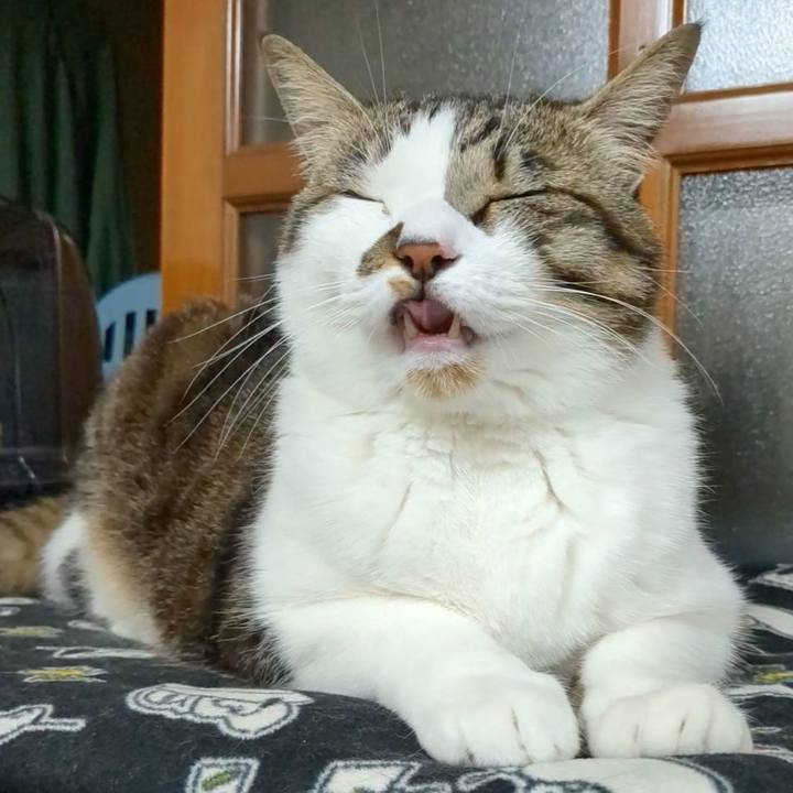 3962cf1d 3a08 41da 88a7 364e439fe67f 1712144619766