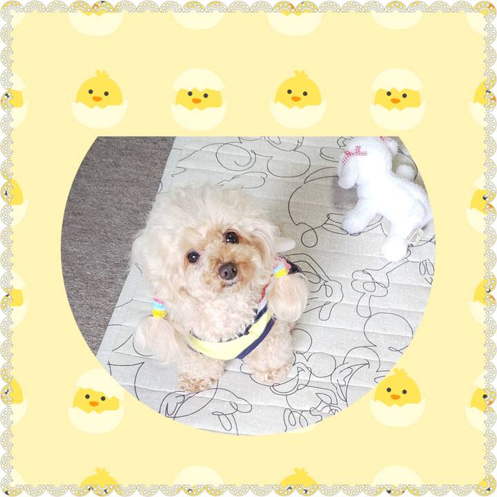 3962d73d 0b41 4d6a b239 c9aae5db8d32 1572700985291