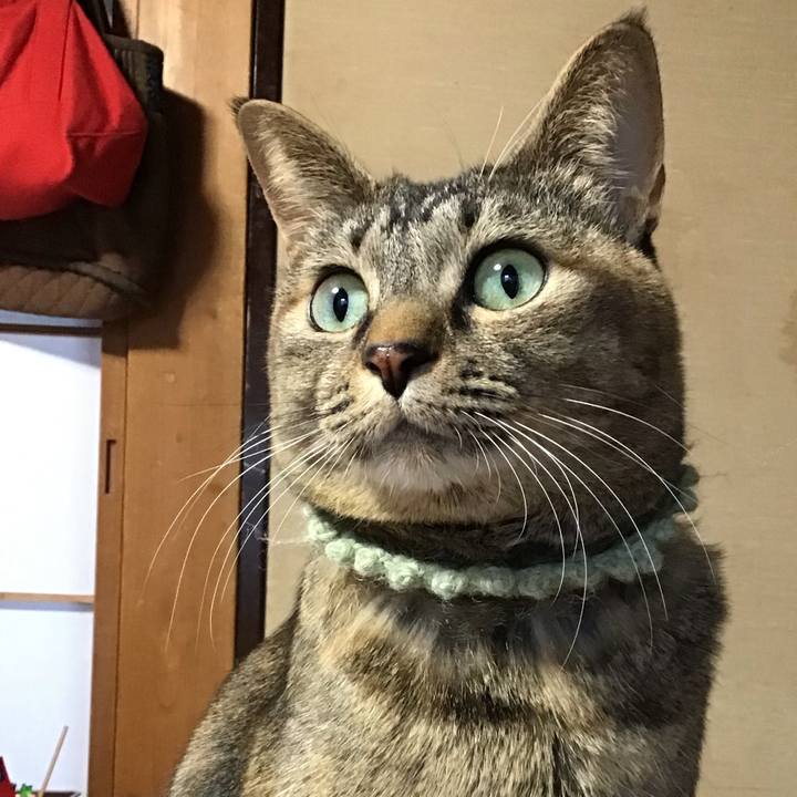 3962ec7a a485 4b57 94b7 7439c91d9bf4 1640989582301