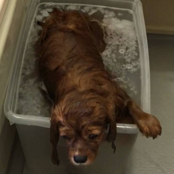 3962ec92 f8e6 4c60 a531 263eec92a19d 1624671649804