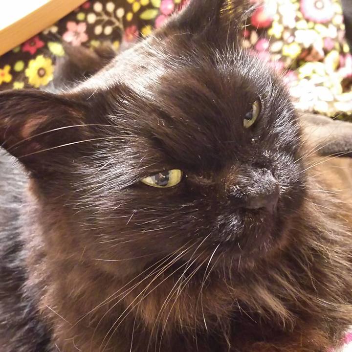 39632adb a6d1 4661 abf0 a5f900db9f49 1549363848987