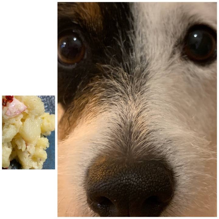 39636be9 1a68 4abf 88b1 71609025143f 1596537655533