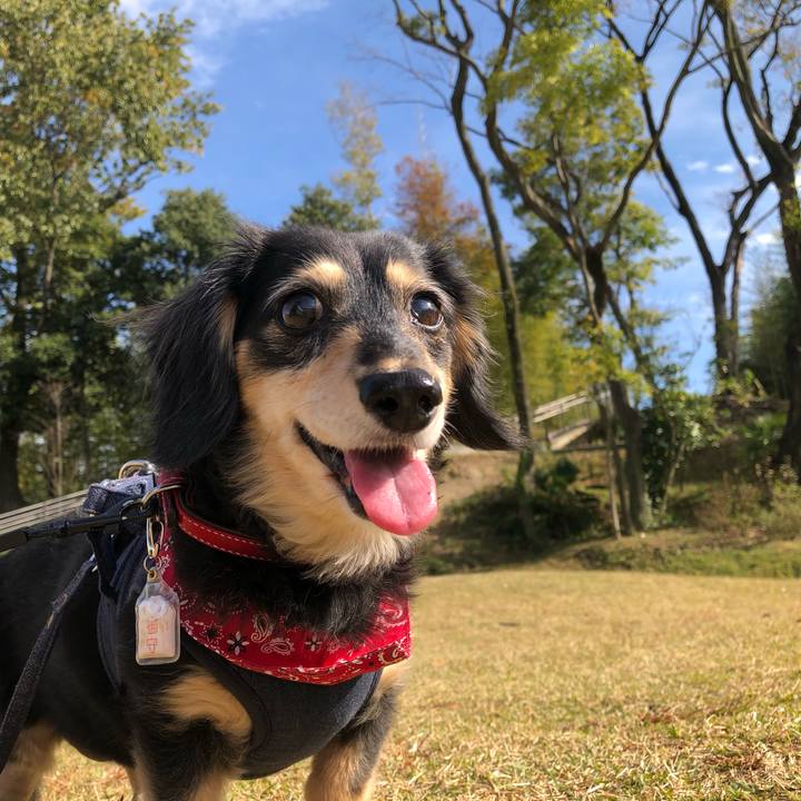 39637bd9 199a 4aa4 9e63 c8b5c3521ec6 1635817963554