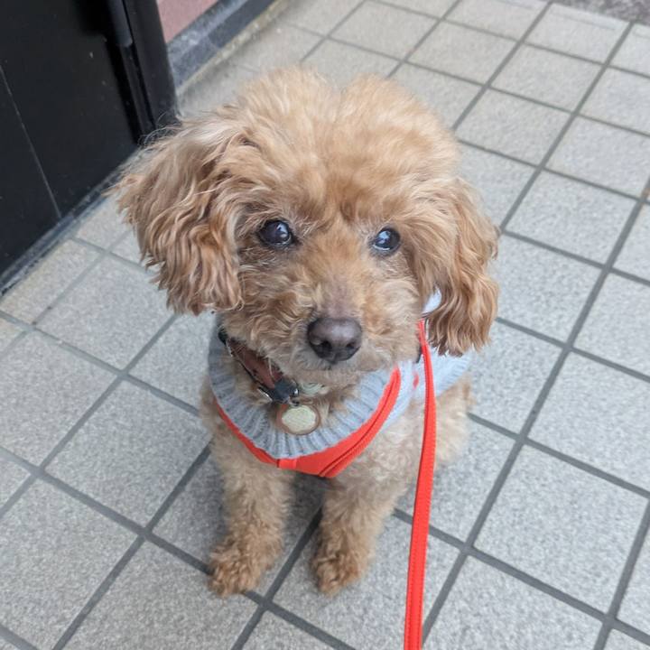 39638afb 9819 49b6 a037 1d5468dc2646 1765751933119