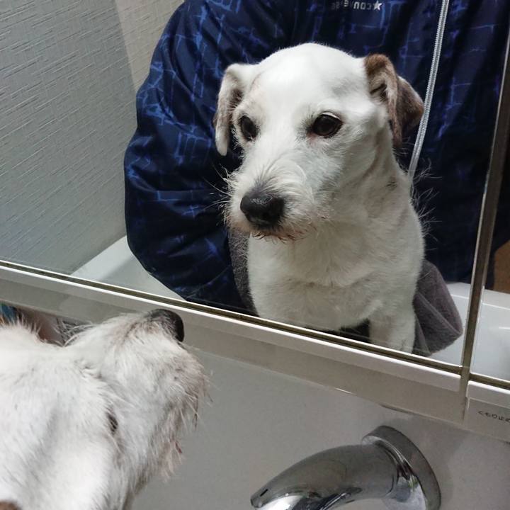 3963ec52 a12d 4242 b5eb 4c4d8106353e 1587426331694