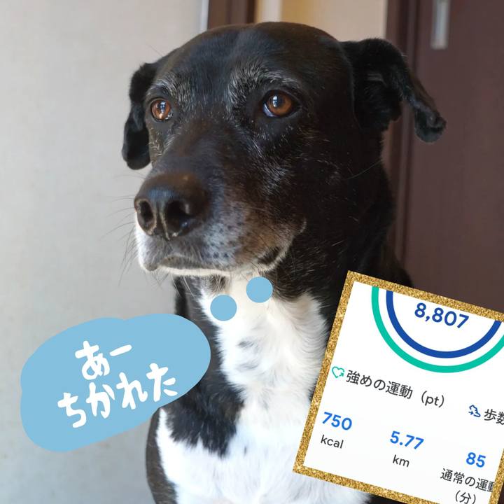 3963f6b1 211f 48e8 8c01 03a348addbf4 1763774597948