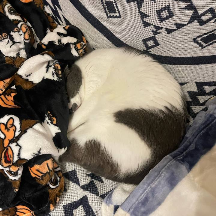 39642bba 0e60 4797 919e c38ea611e619 1699700992578