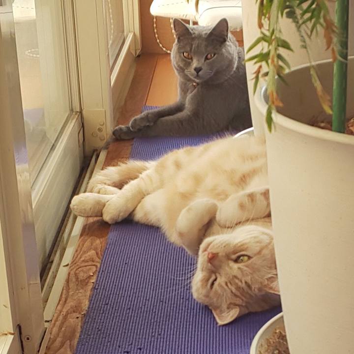 396461df 4a7d 4648 8c25 f1da3e1fcc9e 1540360027620