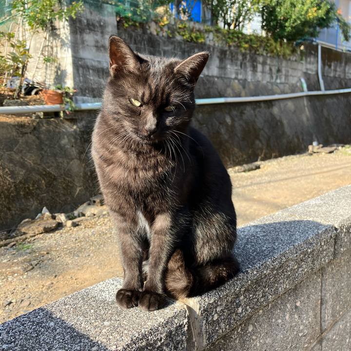 39647e6f 59ef 471a 9bef 2c758462456b 1764110530668