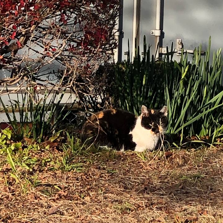 3964ae8b dc8a 46a7 b4f7 70e0ed5e9f59 1643872751832