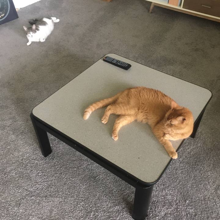 39651cd3 483c 4c94 84f2 5ea806f8b2dd 1655514138430