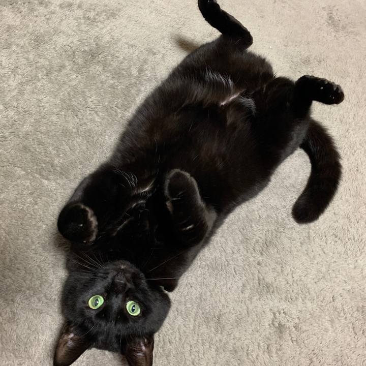 39653724 73fa 4a77 aa51 ef7fa0c3cee4 1583847438190